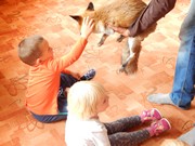 Lištička Mia ve školce